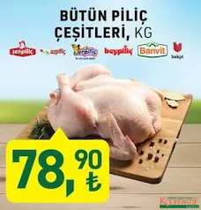 ŞENPİLİÇ/ASPİLİÇ/ERPİLİÇ/BEYPİLİÇ/BANVİT/BAKPİ BÜTÜN PİLİÇ ÇEŞİTLERİ KG ŞENPİLİÇ/ASPİLİÇ/ERPİLİÇ/BEYPİLİÇ/BANVİT/BAKPİ BÜTÜN PİLİÇ ÇEŞİTLERİ KG